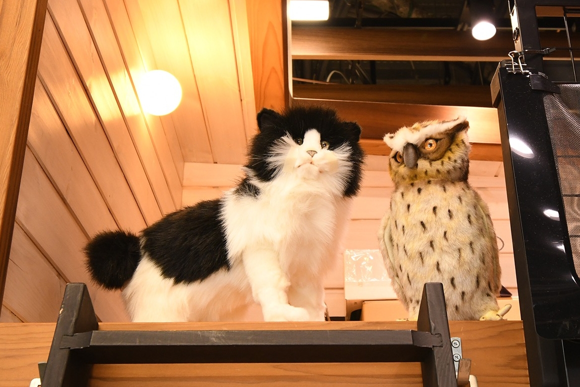 アルトピアーノ横須賀_動物_2